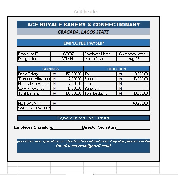 Employee Payslips example